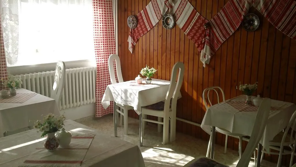 Aa Pension Hoffmann Prague 3*,
